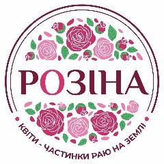 Троянди ВЕСНА 2025