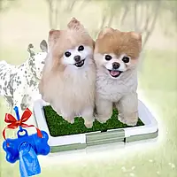 Туалет коврик для собак Puppy Potty Pad 3 уровня Коврик-имитация травы Лоток для животных