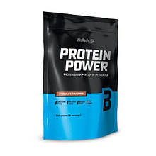 Протеїн BioTech Protein Power 500 g