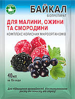 Біодобриво Байкал ЕМ-1-У для малини, ожини, смородини, 40 мл