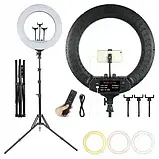 Кільцева LED лампа RL-14 (Діаметр – 36см.) 36 Вт. – штатив 210 см. + 3 шт. тримача + пульт, фото 2