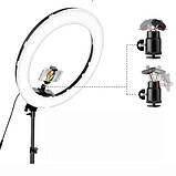Кільцева LED лампа RL-14 (Діаметр – 36см.) 36 Вт. – штатив 210 см. + 3 шт. тримача + пульт, фото 6