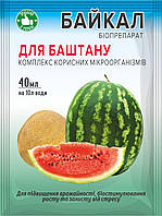 Біодобриво Байкал ЕМ-1-У для баштану 40 мл