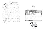 Агата Містері. Книга 3. Сер Стів Стівенсон, фото 6