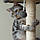 Кігтеточка, будиночок для котів Фіона сіра, фото 6