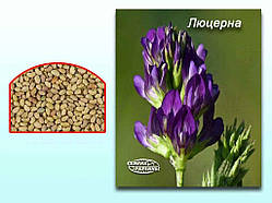 Люцерна оброблена, магнічена (в мішку) 25кг ТМ СЕМЕНА УКРАИНЫ   Solmir