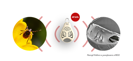 Ультразвуковий відлякувач кліщів для людей Tickless Human Eco BIC, фото 5