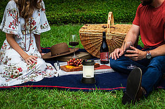 Засіб від комарів Thermacell Bristol садовий спрей 20м2 BIC, фото 4