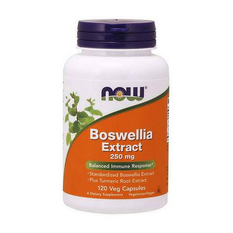 Boswellia Extract 250 mg (120 veg caps), фото 1