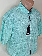 Чоловіча теніска батальна Paul Smith vk-0133 м'ятна принт Туреччина, стильна чоловіча сорочка з коротким рукавом 5XL, фото 2