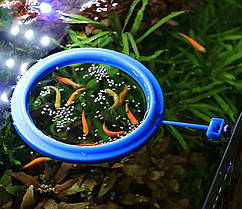 Годівниця з рівнем на присоску, Aqua Nova, кругла, синя. Плавальна годівниця для рибок в акваріум, фото 4