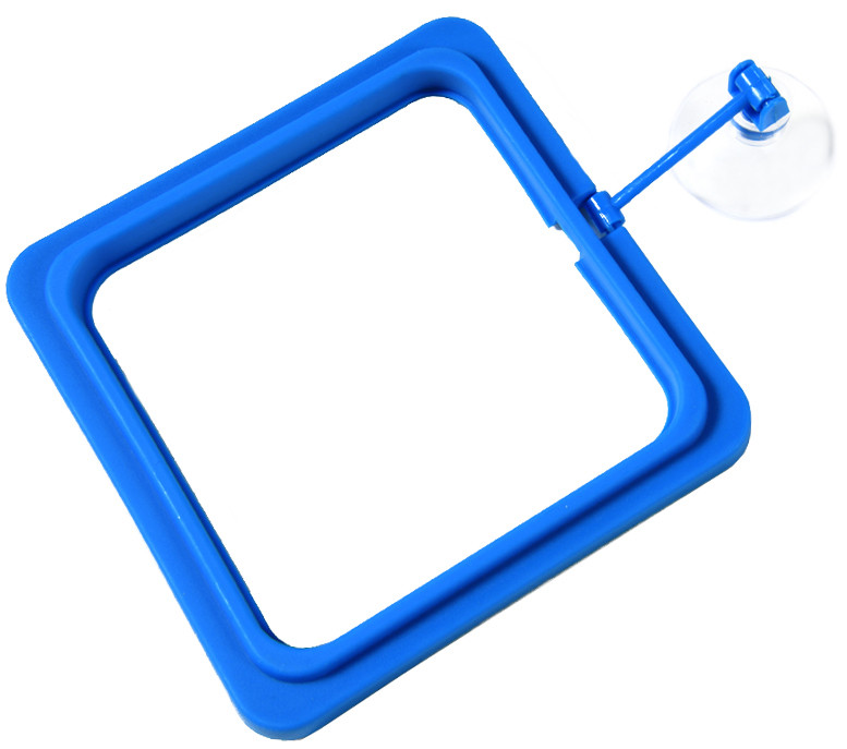 Годівниця з рівнем на присоску, Aqua Nova, квадратна, синя. Акваріумна годівниця для рибок