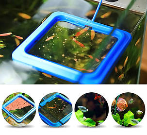 Годівниця з рівнем на присоску, Aqua Nova, квадратна, синя. Акваріумна годівниця для рибок, фото 2
