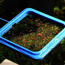 Годівниця з рівнем на присоску, Aqua Nova, квадратна, синя. Акваріумна годівниця для рибок, фото 3