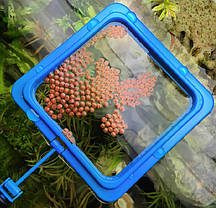 Годівниця з рівнем на присоску, Aqua Nova, квадратна, синя. Акваріумна годівниця для рибок, фото 4