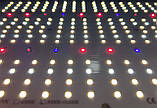 LED фітолампа Квантум борд (Quantum board) 240 W Samsung, фото 7