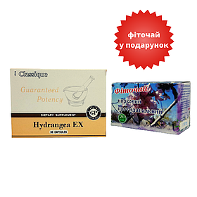 Набір Hydrangea EX Santegra (Сантегра Гортензія)+Фіточай для очищення нирок 1,5 г 20 фільтр-пакетів