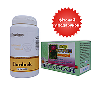 Набор Burdock Santegra Бёрдок Корень лопуха+Плоды расторопши пятнистой 1,5 гр 20 фильтр-пакетов