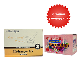 Набір Гортензія (Hydrangea EX) Santegra + Фіточай від циститу 1,5 г 20 фільтр-пакетів