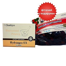 Набір Гортензія (Hydrangea EX) Santegra + Плоди шипшини 100 г