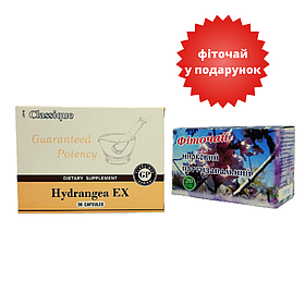 Набір Гортензія (Hydrangea EX) Сантегра +Фіточай для нирок 1.5 г 20 фільтр-пакетів