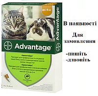 Advantage краплі Адвантейдж від бліх для котів і кролів до 4 кг(1 піпетка) Bayer