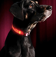 Светящийся LED ошейник с аккумулятором для собак для вечерних прогулок с USB зарядкой Красный M(35-47см)