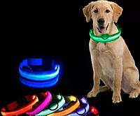 Светящийся LED ошейник с аккумулятором для собак для вечерних прогулок с USB зарядкой Синий L(36-57см)