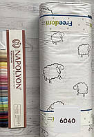 Тканина Ранфорс. Поплін Туреччина, ширина 240 см