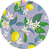 Картина по номерам на круглом подрамнике "Цветение лимона (Размер M)" 30 см RC00047M