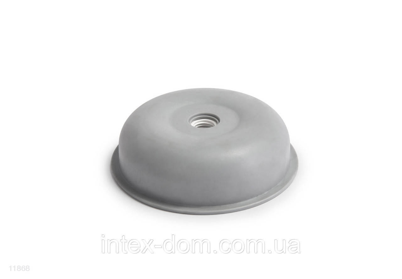 Кришка Intex 11868 до картриджного фільтр насоса