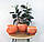 Набір горщиків для квітів 3 шт "Куля" Оранжевий Rezon горщик керамічний, фото 2