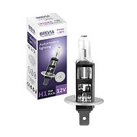 H1 Osram Hallogen +30