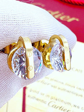 Сережки Stainlees Steel преміум (14-К), фото 2