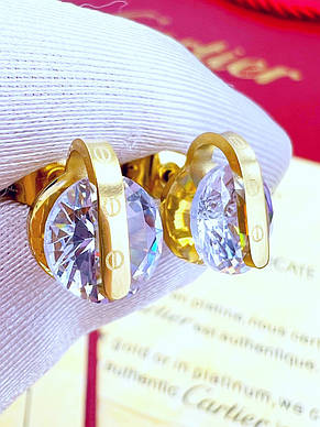 Сережки Stainlees Steel преміум (14-К), фото 3