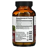 Organic India, Органічне волокно подорожника, 180 вегетаріанських капсул оригінал, фото 2