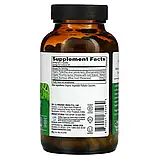 Organic India, Liver Kidney, 180 вегетаріанських капсул оригінал, фото 2