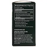 Gaia Herbs, Суміш респіраторних грибів, 40 веганських капсул оригінал, фото 2