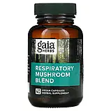 Gaia Herbs, Суміш респіраторних грибів, 40 веганських капсул оригінал, фото 3