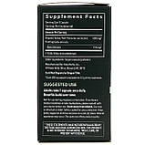 Gaia Herbs, трутовик різнобарвний, 40 веганських капсул оригінал, фото 2