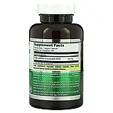 Amazing Nutrition, Габа, 750 мг, 100 вегетаріанських капсул оригінал, фото 2