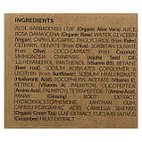 Tree To Tub, Ginseng Green Tea, нічний відновлювальний крем для шкіри навколо очей, ніжний антивіковий оригінал, фото 3