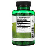 Swanson, Spectrum, корінь імбиру, 540 мг, 100 капсул оригінал, фото 2