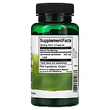 Swanson, Gymnema Sylvestre Leaf, повний спектр дії, 400 мг, 100 капсул оригінал, фото 2