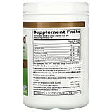 IP-6 International, IP6 Gold, формула для підтримки імунітету в порошку, манго та маракуя, 412 г оригінал, фото 2