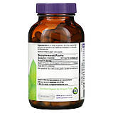 Oregon's Wild Harvest, Астрагал, 180 желатинових капсул оригінал, фото 2