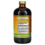 Dynamic Health Laboratories, Рідкий хлорофіл, натуральна м'ята колосиста, 100 мг, 473 мл (16 рідкий. Унций) оригінал, фото 2
