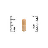 California Gold Nutrition, мультивітаміни для щоденного приймання, 60 рослинних капсул оригінал, фото 3