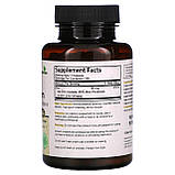 FutureBiotics, Цинк потрійної дії, 30 мг, 150 вегетаріанських капсул оригінал, фото 2