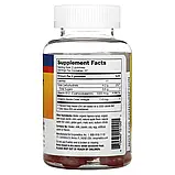 Enzymedica, Жувальні мармеладки з яблучним оцтом, 74 веганських жувальних мармеладки оригінал, фото 2